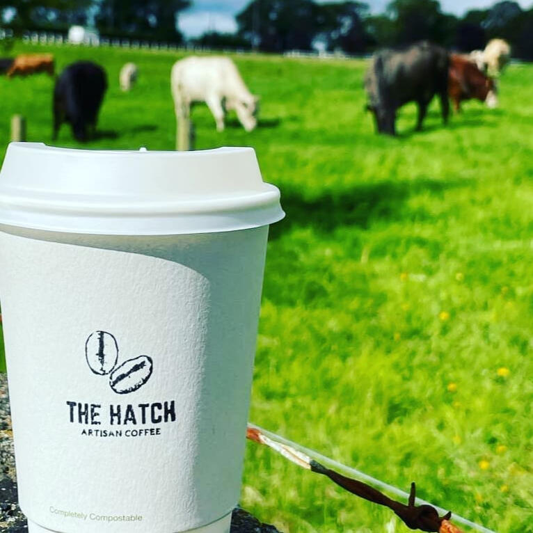 Hatch Cup Hatch Cup